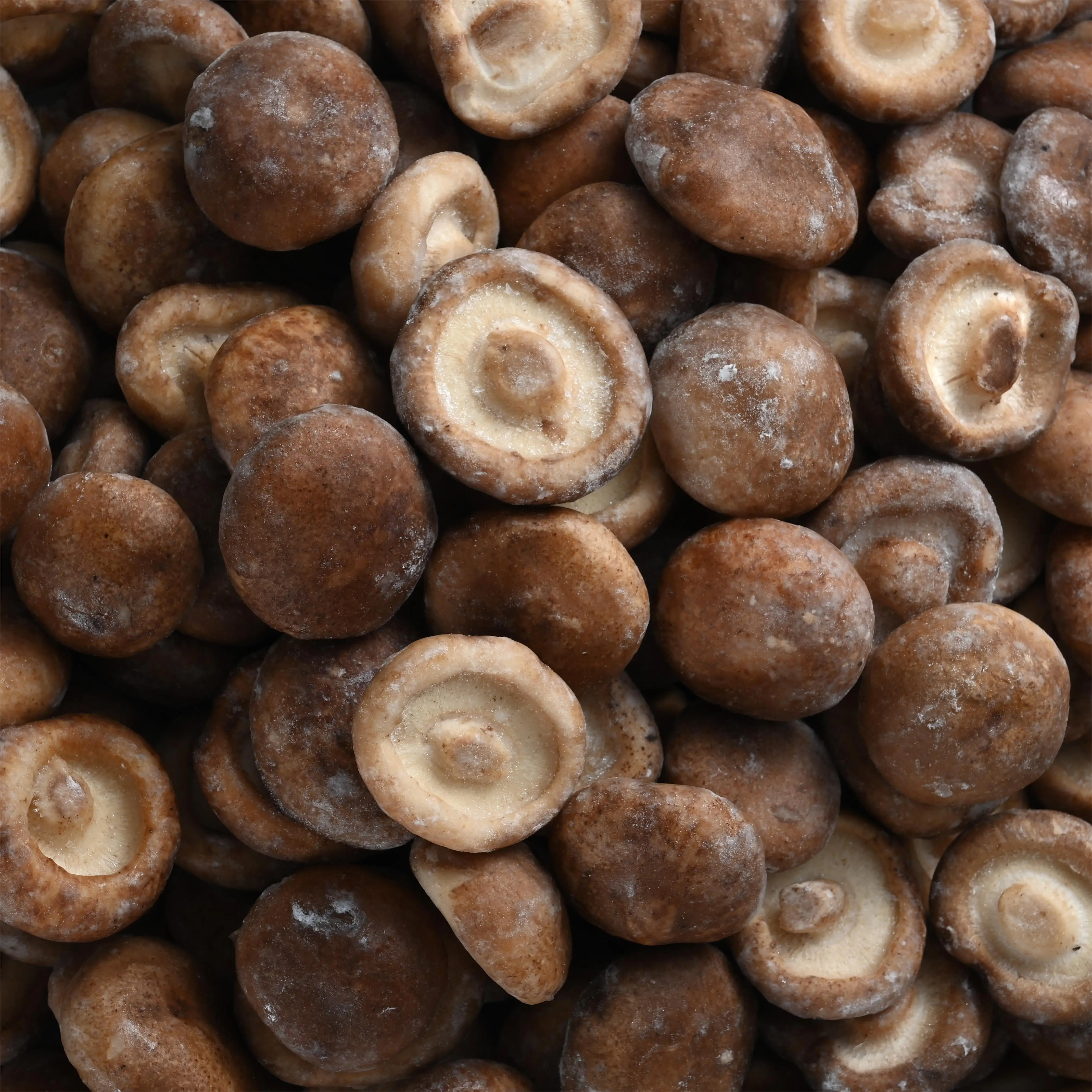 factory direct export of frozen shiitake mushroom wholesale frozen  shiitake mushroom