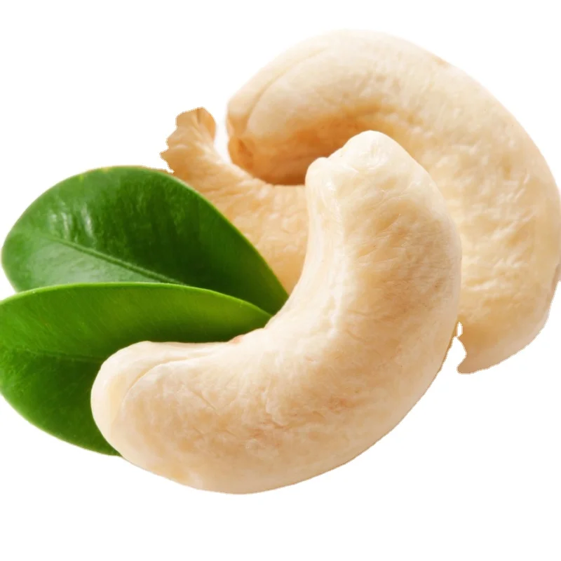 Оптовая продажа китайские жареные орехи ореха кешью лучшего качества вкусная соль запеченные и сушеные