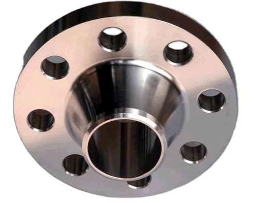 DONGLIU Good quality Forged Stainless Steel SS304 SS316 SS301 Plate Flat Welding Neck Flange