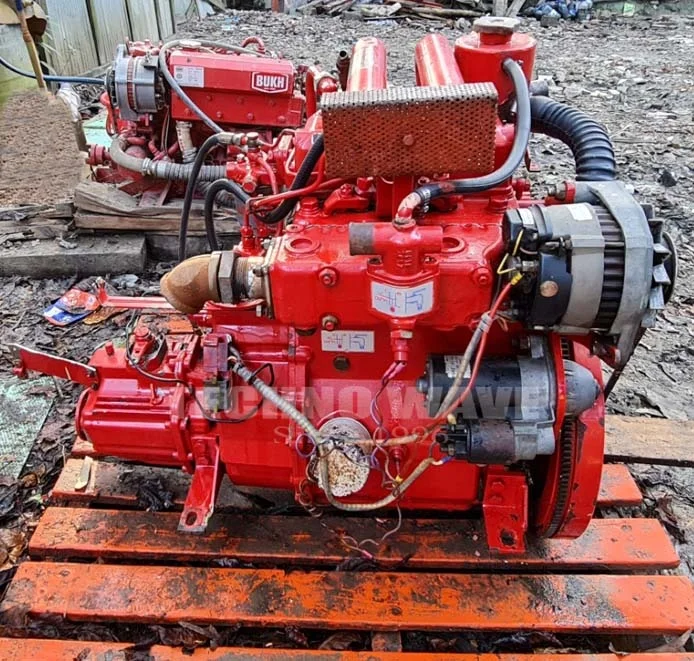 Bukh DV29 Manual and Electric Starting Solas Approved Boat Engine