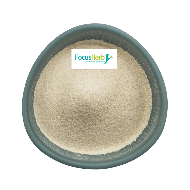 
100% Natural Fast Type HM Rapid/Medium/Slow Set Apple Pectin Powder 
