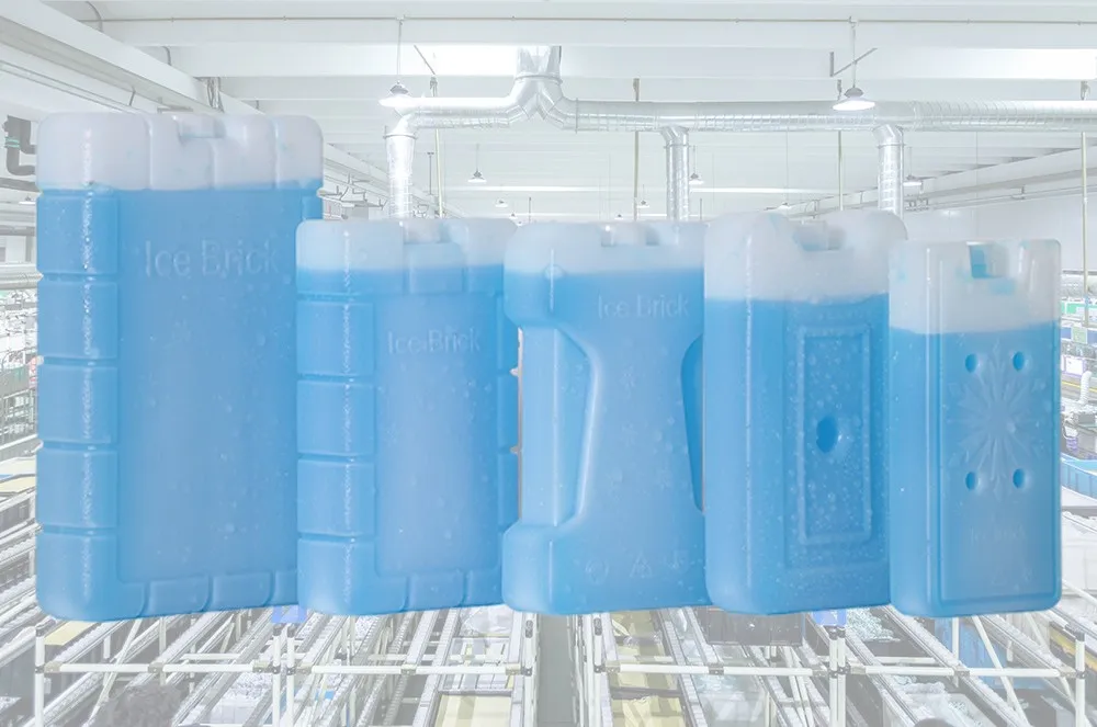 YML factory wholesale customized plastic ice cooler box portable ice brick reusable ice box for outdoor food fresh