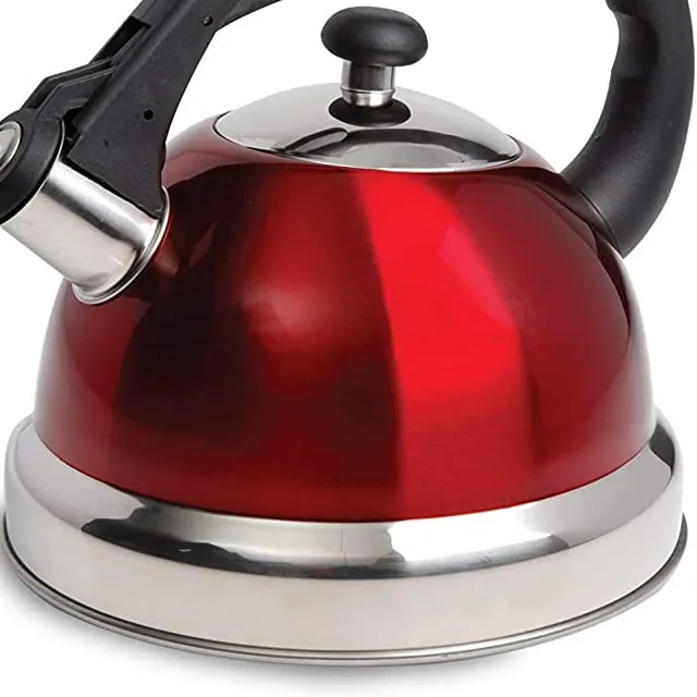 Thick Bottom High Quality Stainless Steel Kettle Induction Cooker Hemispheric Sound Teapot Kettle