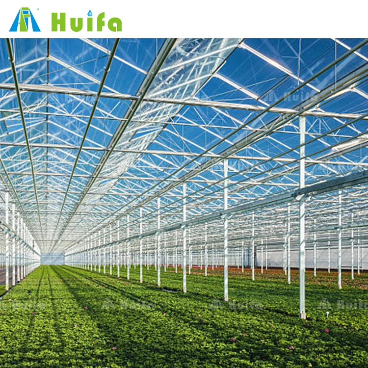 Modern Venlo Glass Nigeria Vegetable Greenhouse Multi-Span Commercial Flowers Green House With Tomato Hydroponic System