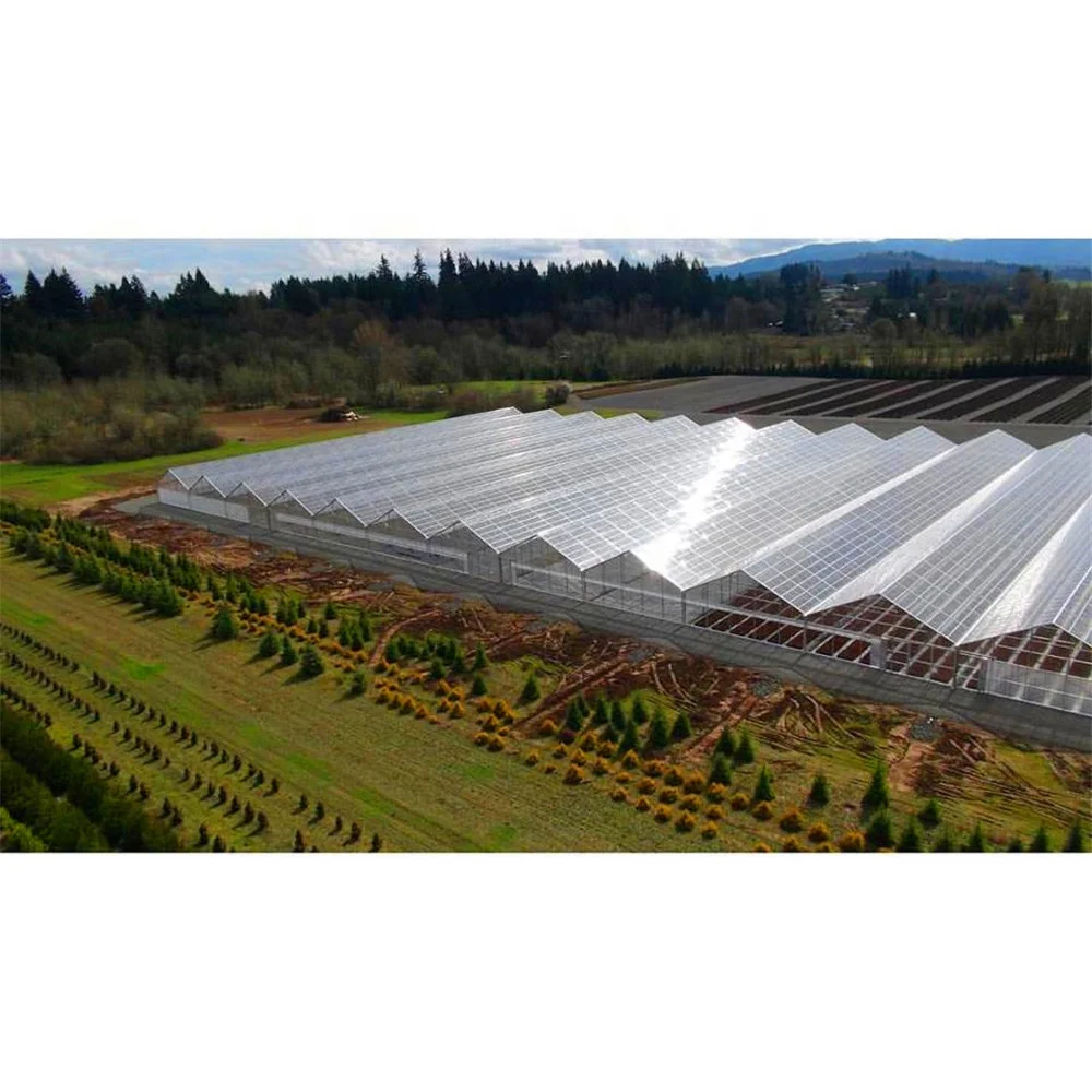 
Natural vents aluminium framing sequoia orchids growing seedling poly tunnel greenhouse steel frame tunnel 