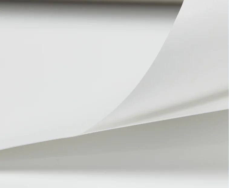 Waterproof 100% Inkjet Polyester Canvas Inkjet Painting Cloth Self Adhesive Vinyl Oil Canvas Fabric