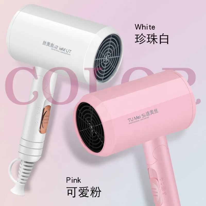 Anion Mini Professional Student Dormitory Blow Dryer Hotel Foldable Hair Dryer