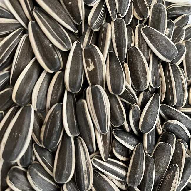 Supply best quality chinese black sunflower seeds large size sunflower seeds 363 export with per ton