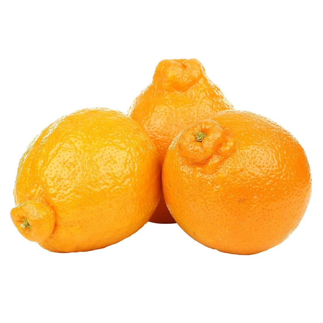 High quality export Wholesale cheap sweet fresh orange