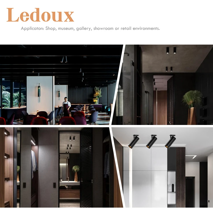 LEDOUX Focus Rail Light Adjustable Dimmable Spotlight Home Art Gallery 10W 15W LED Track Light