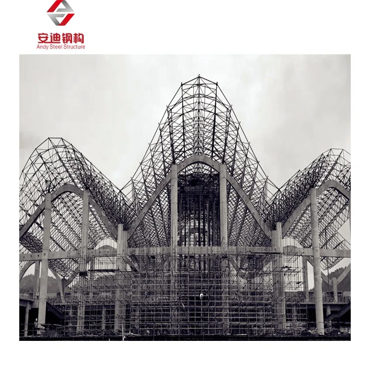 Prefabricated Special Shape Space Frame Steel Structure Building  Roofing Shed