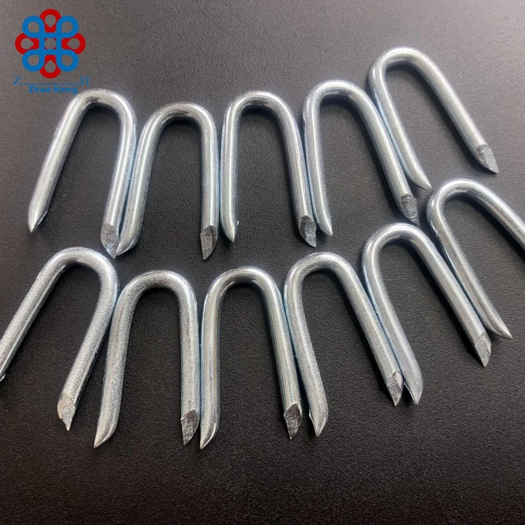 U Shaped Fence Staple/Galvanized U Shape Nails/U Type Staple Nails used for wooden post electric fence barbed wire fixing