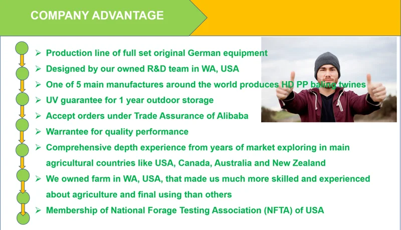 Company  Advantage .png