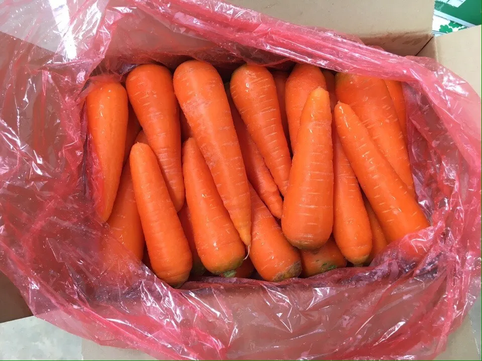 Свежий урожай моркови Вьетнам Быстрая доставка