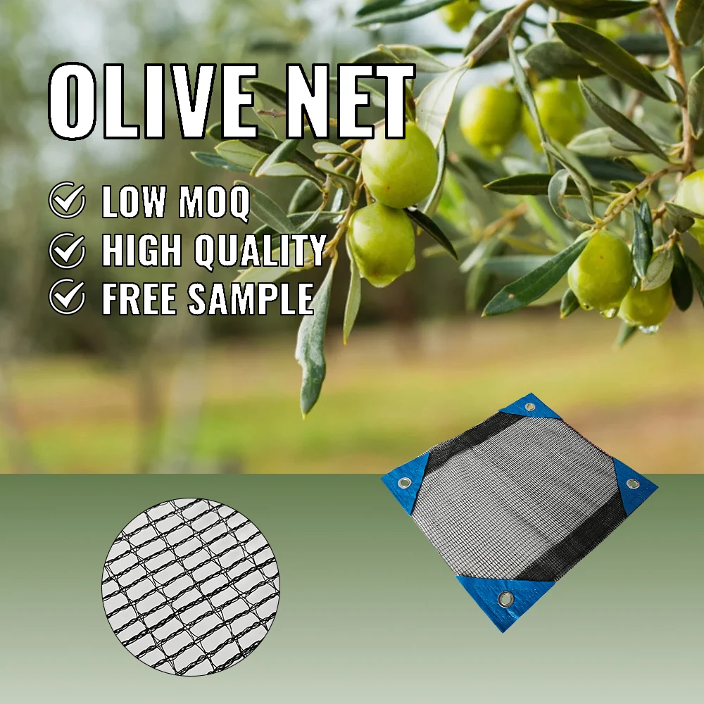 pure white and translucence Harvest Olive Net Olive for Garden