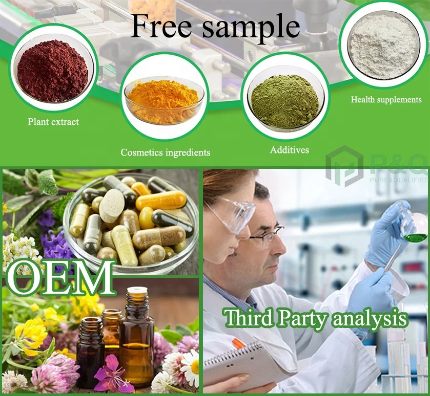 Wuhan PNQ Oroxylin A Bulk supply Oroxylin A powder cas 480-11-5 White powder Wood Butterfly Extract