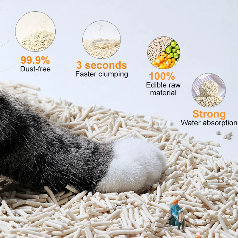 cat litter fine sand cheap bulk brands suppliers best clumping breeder select changing snow