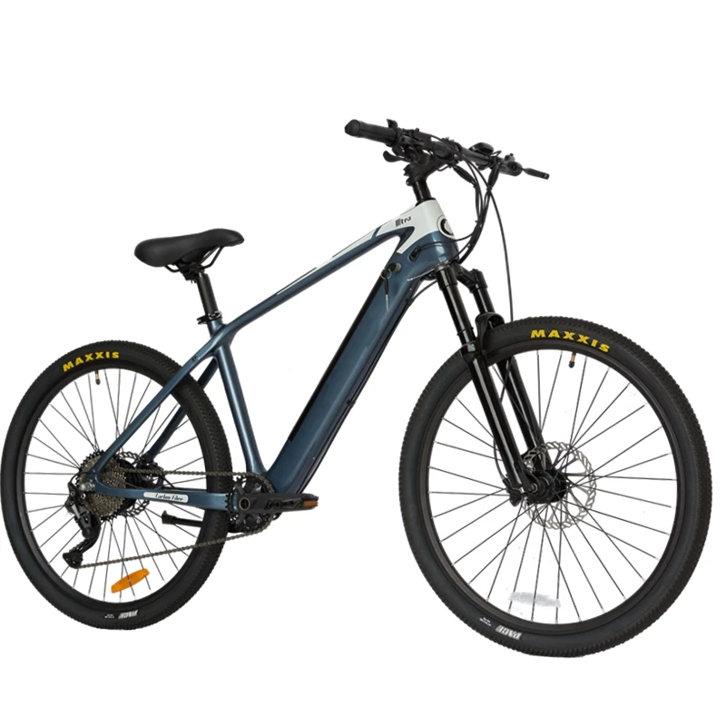 Hot Selling Bicycle EBF-2 Bike Electric Fat Bike. Kit