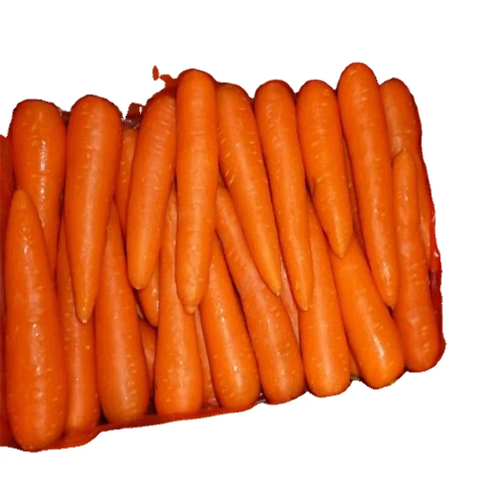  China Fresh Vegetables