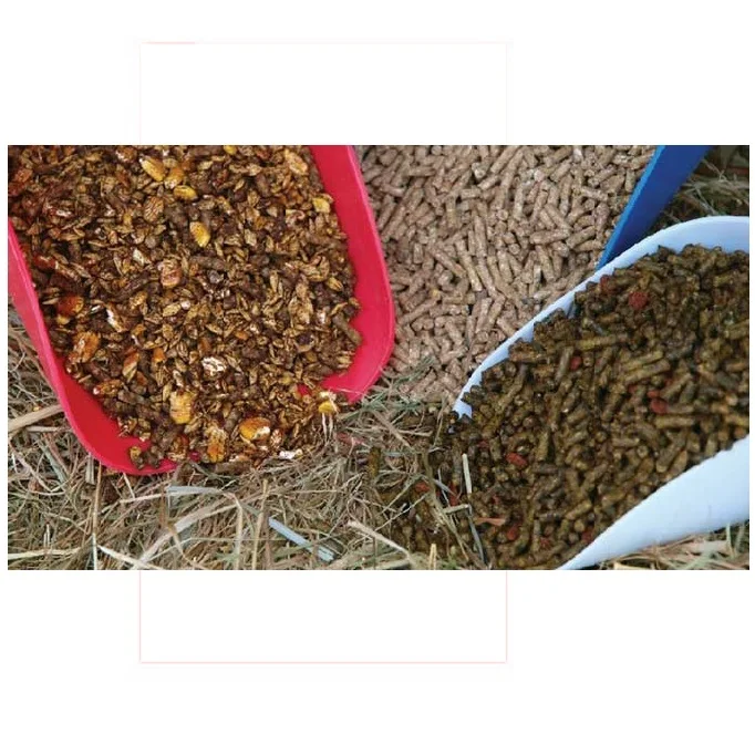 Horse Feed for better strength and power. bulk probiotic feed for animal