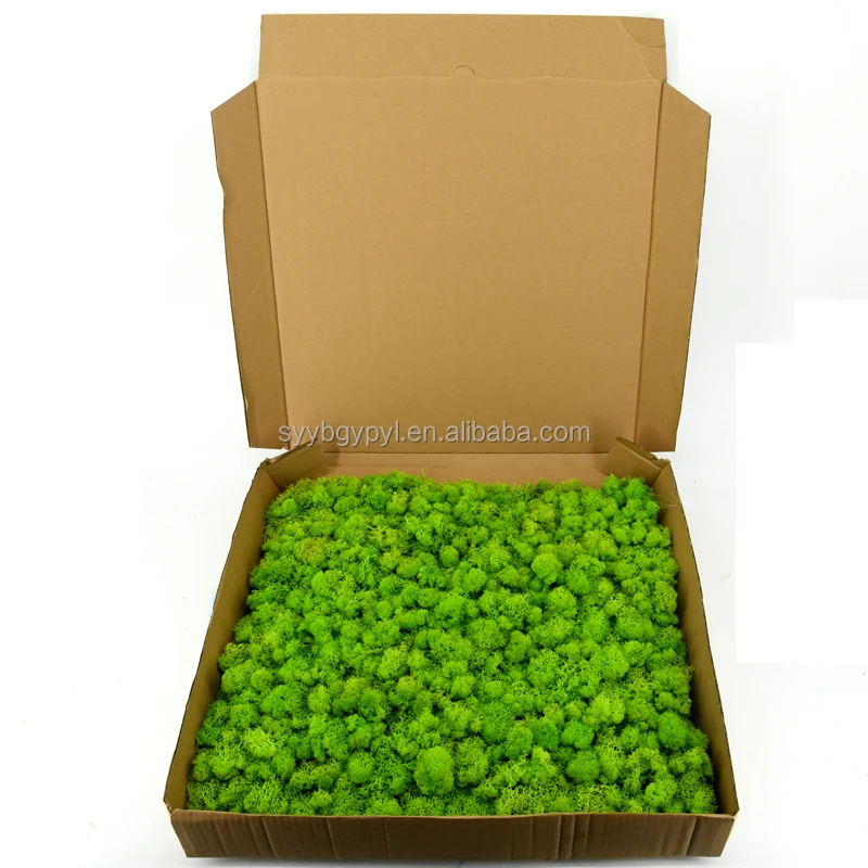 New Arrival 2021 DIY handmade reindeer moss wall Soft and Fresh 50cm grass green preserved moss panel