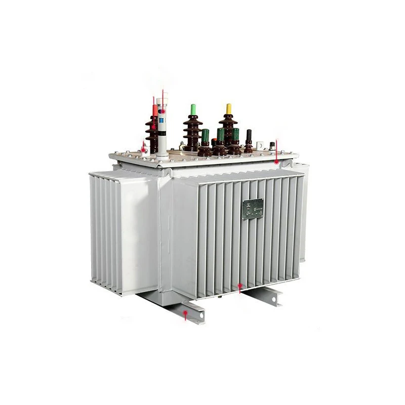 1250KVA Transformer S11 High Voltage Electric 0.4KV Transformer Sealed  Typical Oil Immersed Transformer