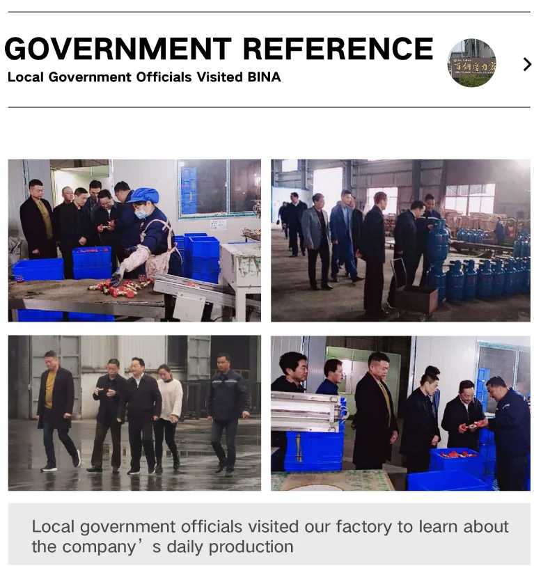 Bina Factory  Direct Sale Fiber Wrapped Empty Refillable 30.5L Composite Cylinders