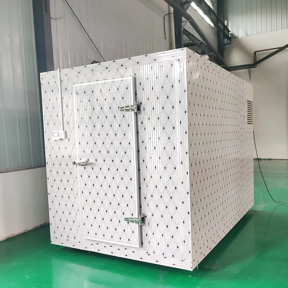 Freezing Chambers Cold Room Storage Fast Refrigeration Containers Cold Room For Meat