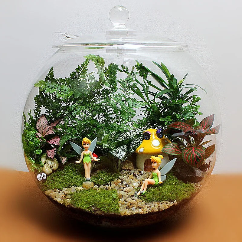 Стеклянная террариумная основа и крышка/ваза для террариума с крышкой/ваза деревянным украшением дома Современная ручная свадьба