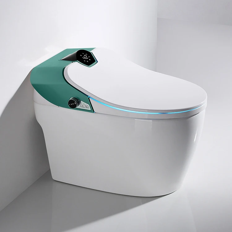 110v Electronic Clear Toilet Bidet Hot And Cold Water One Piece Toilet Sits Bathroom