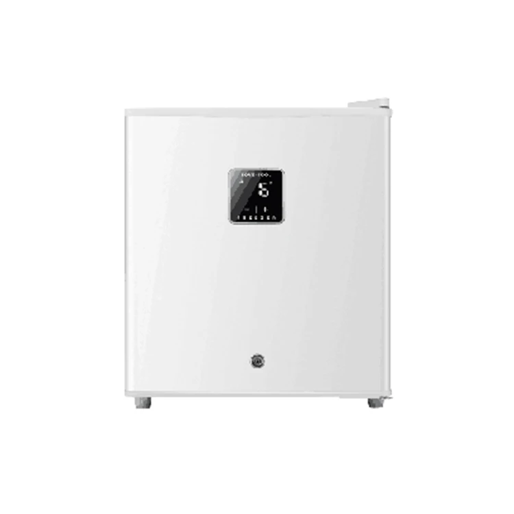 Mini Fridge Portable Compact Refrigerator Electric Cooler and Warmer 46L 6 Can for Car Boat Self-driving Camping Outdoor