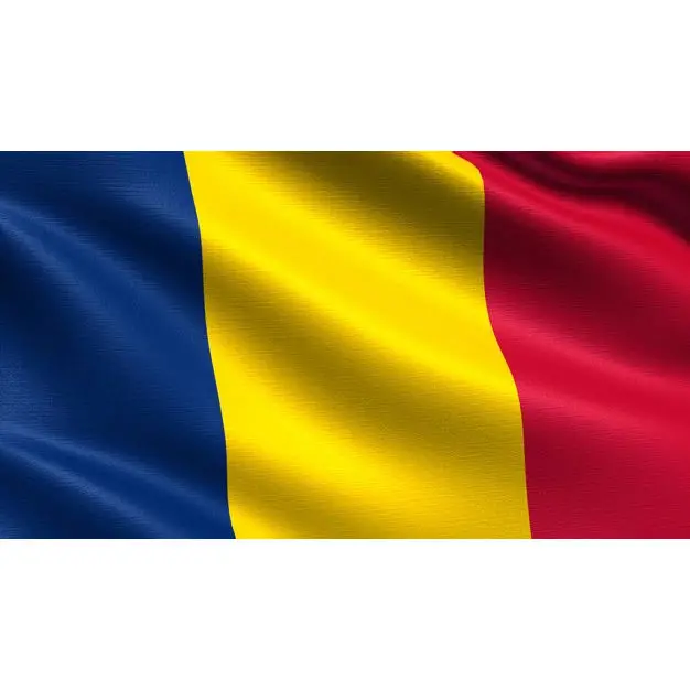 Huiyi Customized Size All Color Printing Wholesale 100% Polyester Flying And Hanging Chadian Flags Promotional And Banners