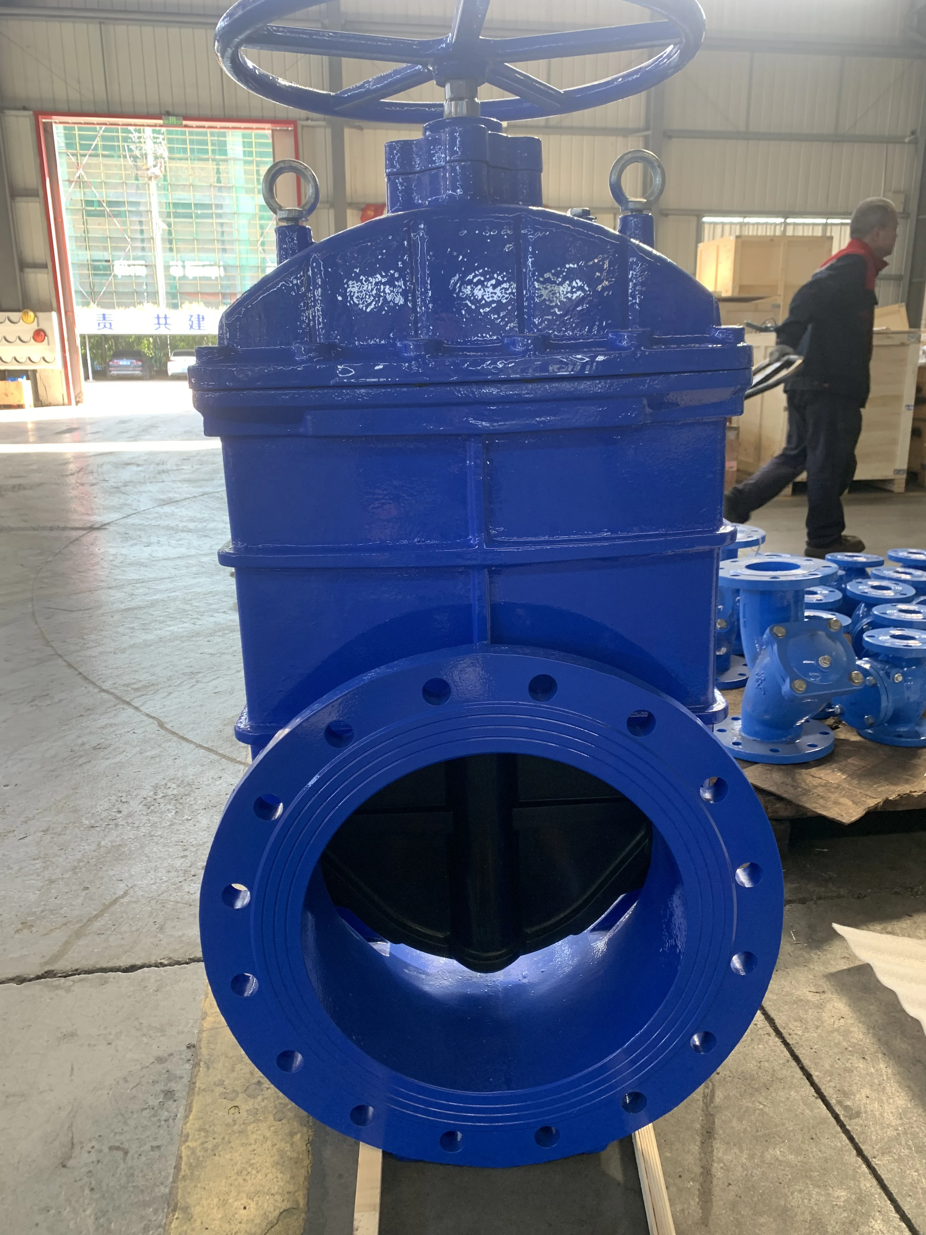Manual and Hydraulic Gate Valve for Water and Gas High Temperature General Application