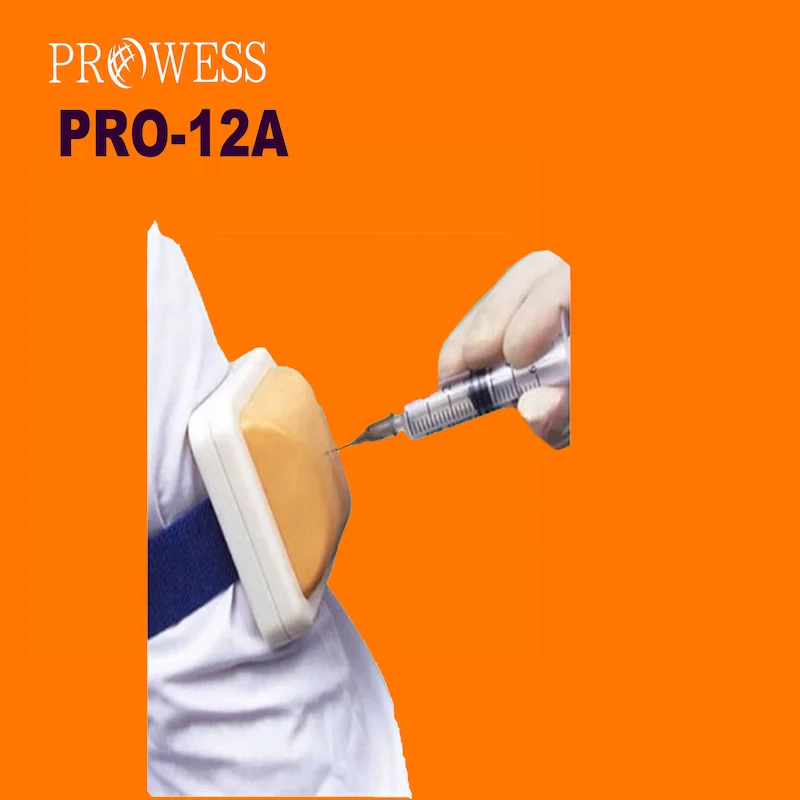 PRO-12A New Design Vivid Intramuscular Injection Training Pad, Injection Practice Model