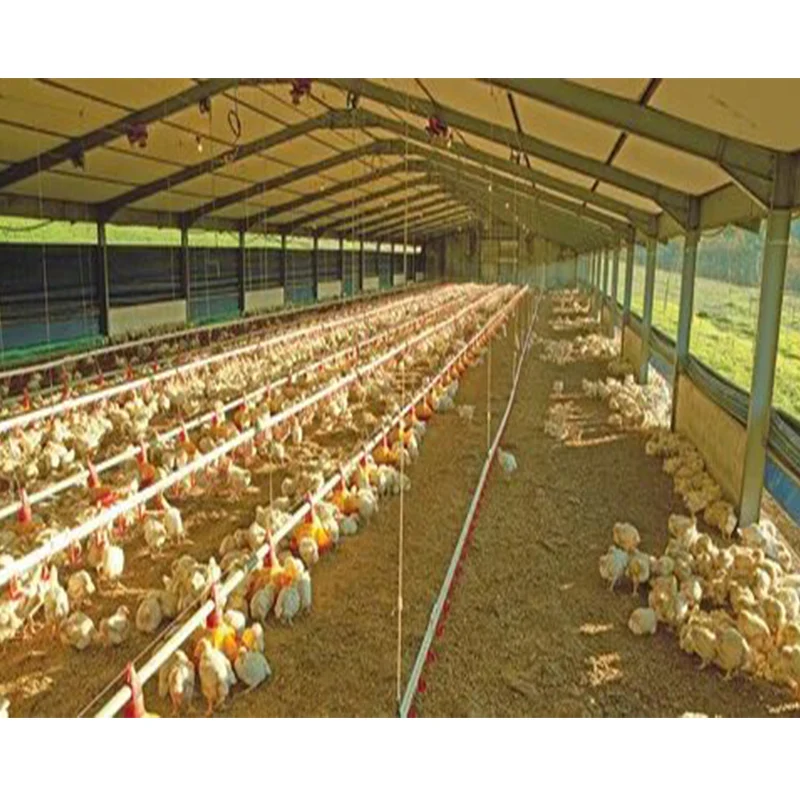 Готовая Ферма-Бройлер/заводчик/дома для выращивания