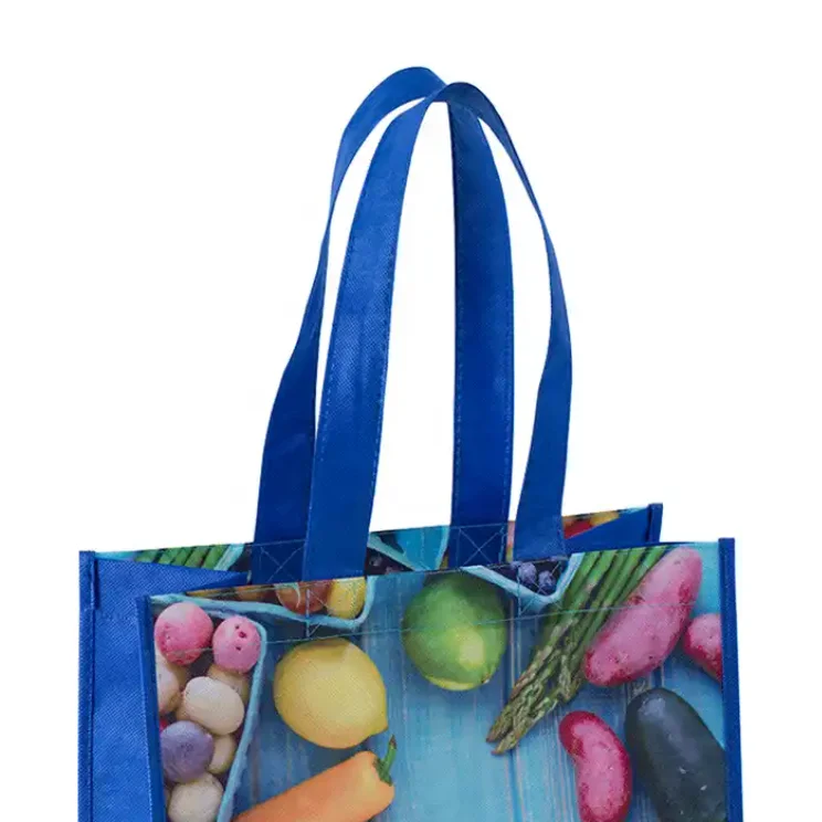 Custom Eco Vegetable And Fruit Shopping Supermarket Can Reuse Blue Hand-Held Wenzhou Non-Woven Fabric Bag