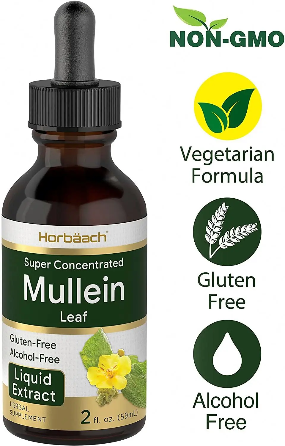 wholesale OEM/ODM Private label Mullein Leaf Liquid Extract 2 fl oz Alcohol Free Vegetarian Non-GMO & Gluten Free Supplement