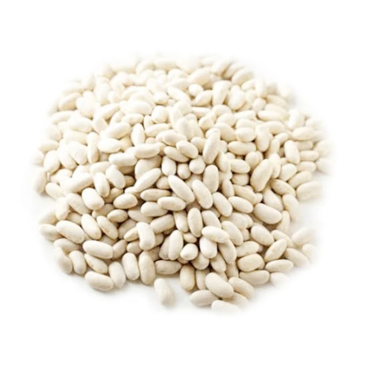 Long Shape White Beans Dried Kidney Beans White Kidney Wholesale Price White Kidney Beans From Kyrgyzstan
