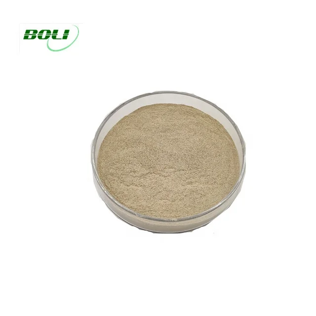 Fungal alpha amylase enzyme for baking industry