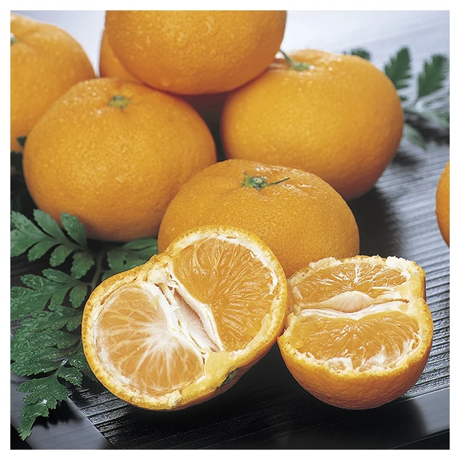 Japanese wholesale bulk fruit agricultural products and food with good quality
