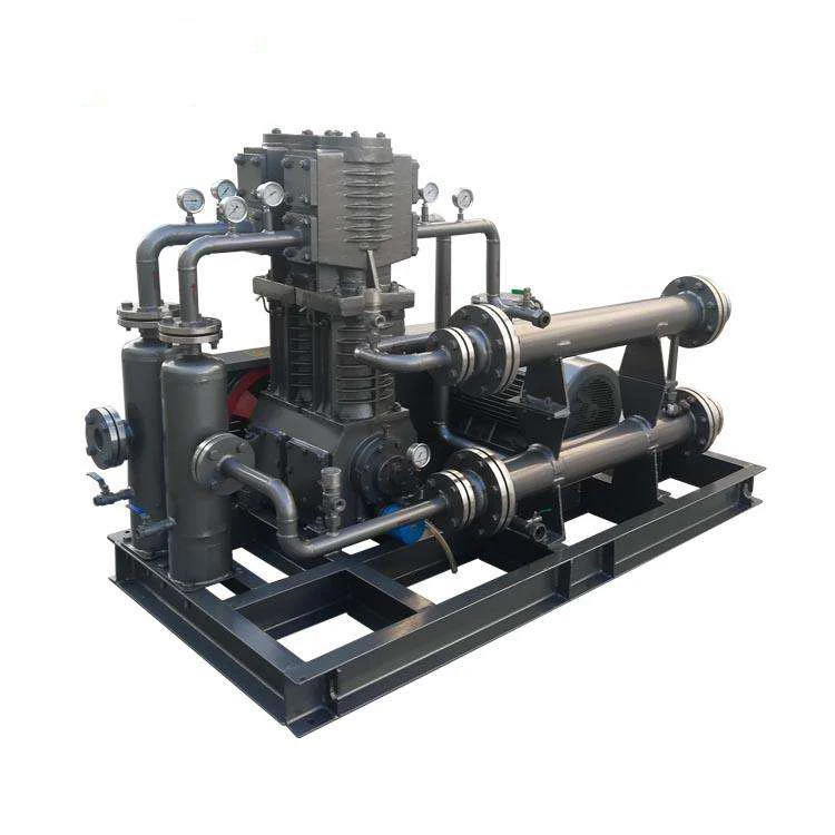 Custom Special Gas Compressor Carbon Monoxide Nitrogen Dioxide H2S Hydrogen Sulfide Nitric Oxide Gas Diaphragm Compressor