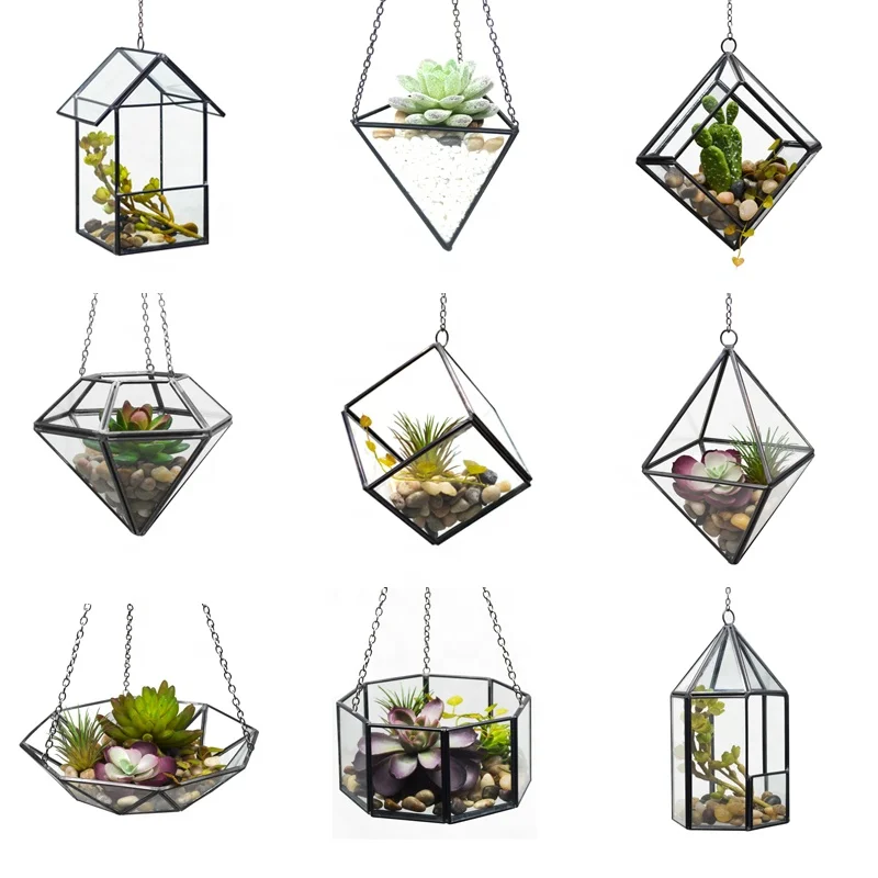 dakang Dome Hanging Plant Geometric Reptiles Do Terrarium Glass For Plants Kit Containers Miniature Wholesale With Lid