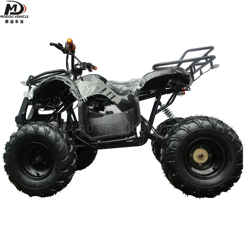 Adult children electric ATV 500W small atv entertainment