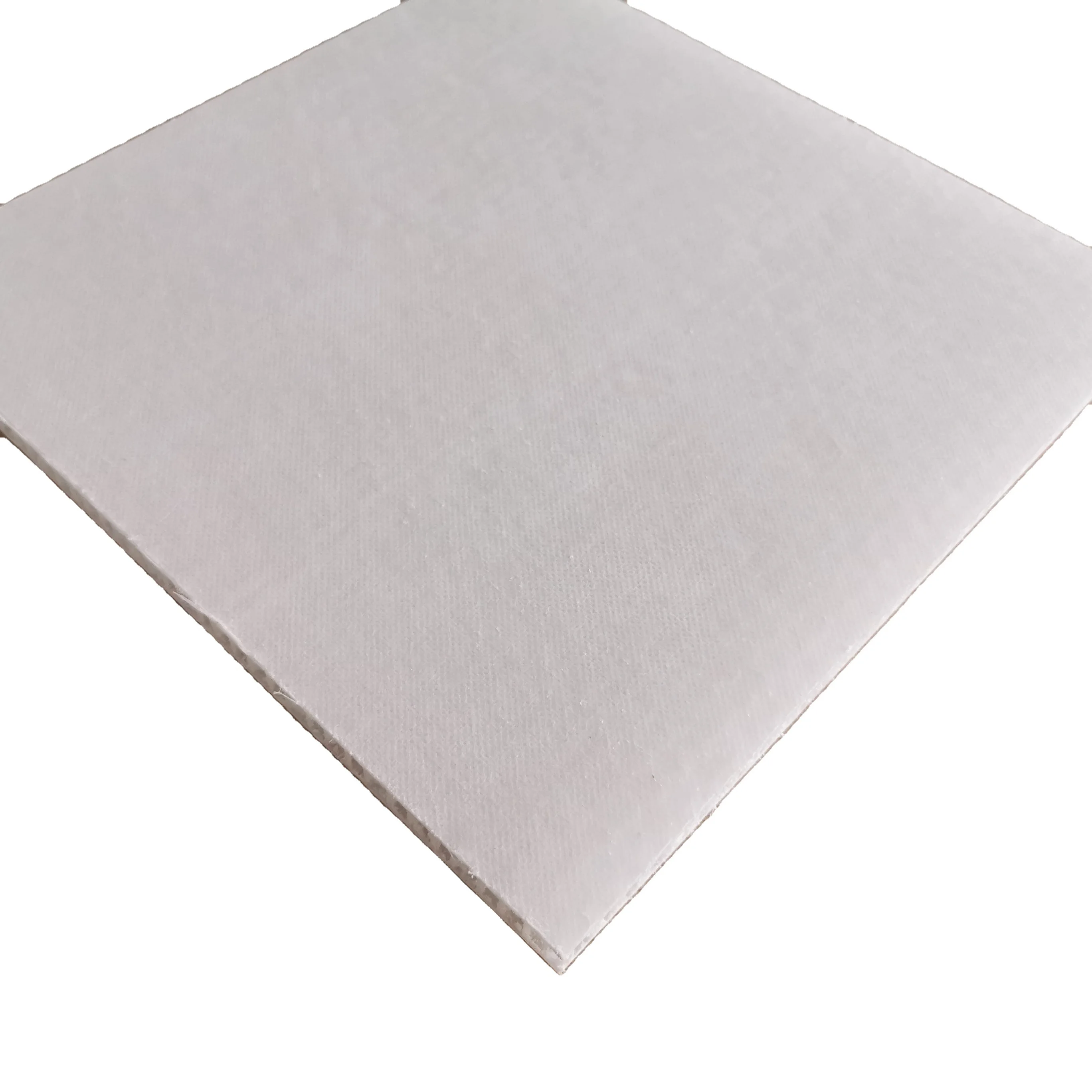 Thermoplastic Composite Sandwich Panels PPhoneycomb PP/PET Foam core