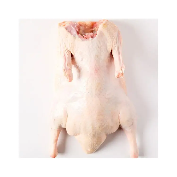 Factory Supply Firm Flesh Whole Duck Without Head Neck