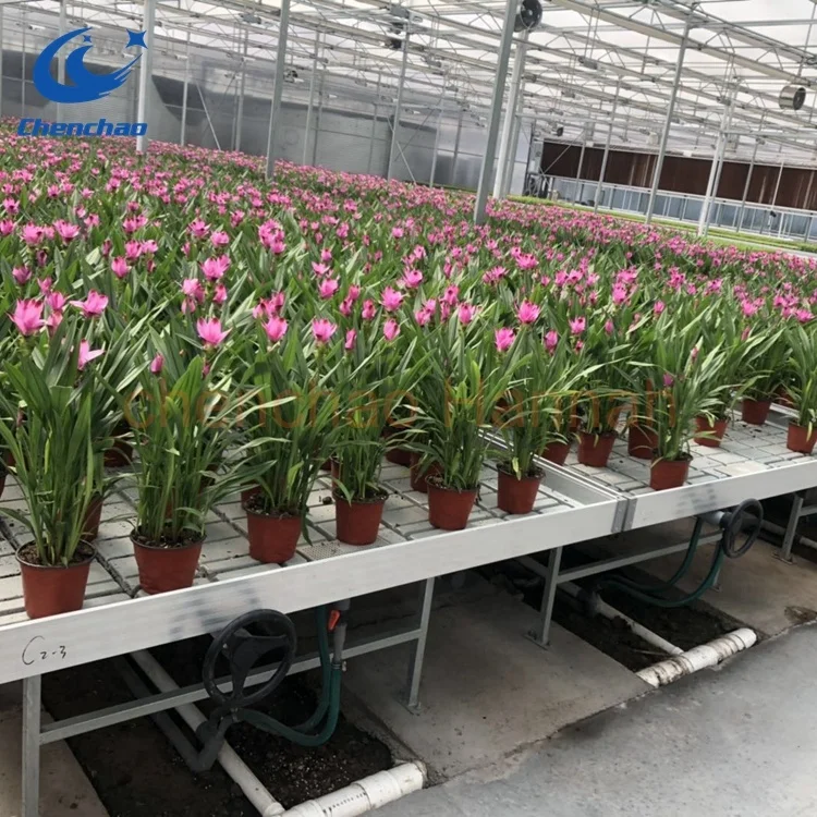 deep water culture system hydroponic ebb flow table