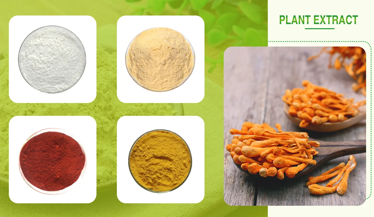 High quality alpha lipoic acid powder food grade 1077-28-7 pure Alpha Lipoic Acid