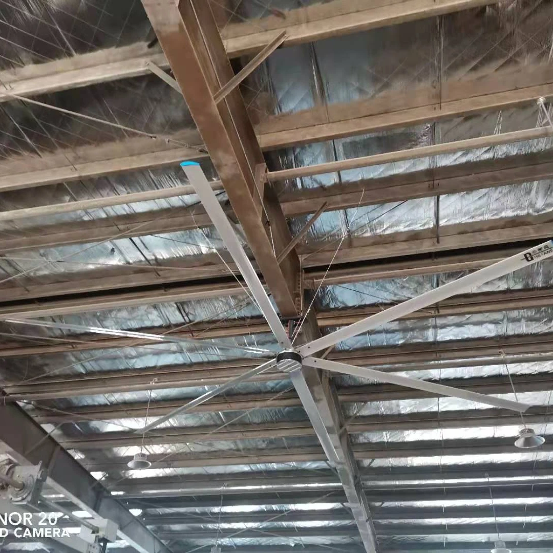 Terrui Giant 23ft 7m 5 лезвий Hvls воздушный охлаждающий вентилятор для склада завода и фермы охладитель выхлопного воздуха промышленный