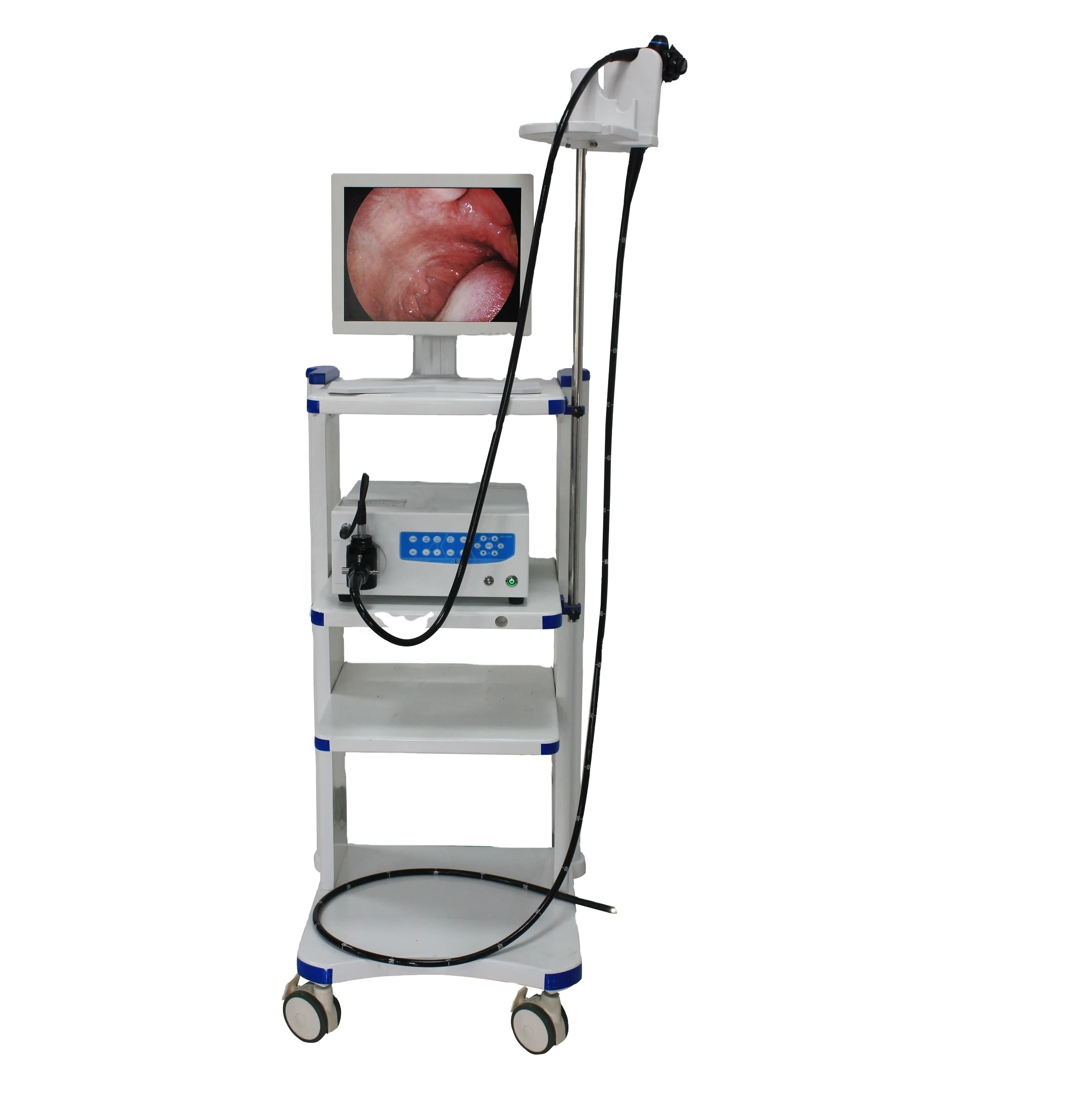 OJH flexible video Veterinary endoscope ,veterinary gastrointestinal endoscope