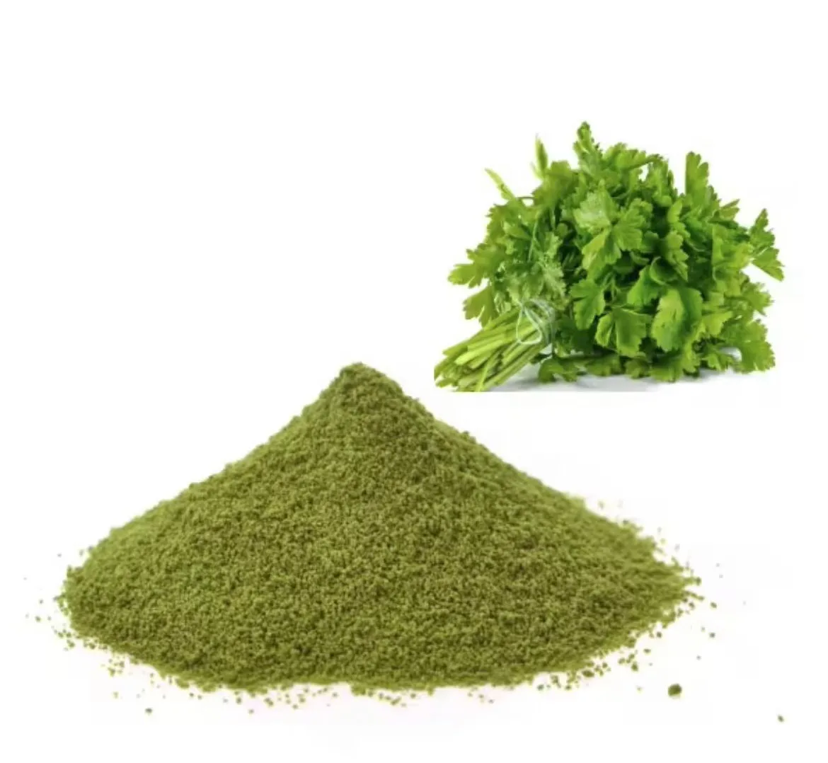 Tea Extract ECGC/theanine/polyphenel/matcha/2025 New Arrival Bulk Sale